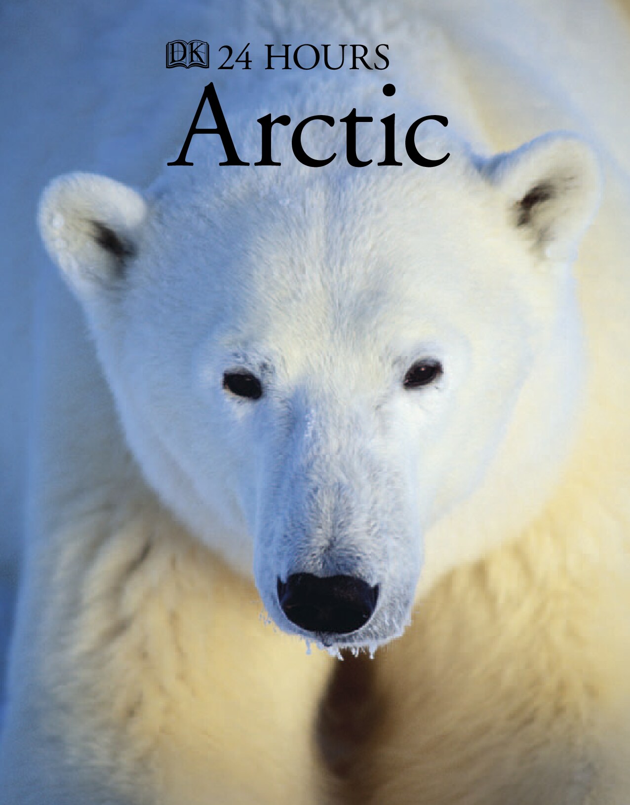 Arctic