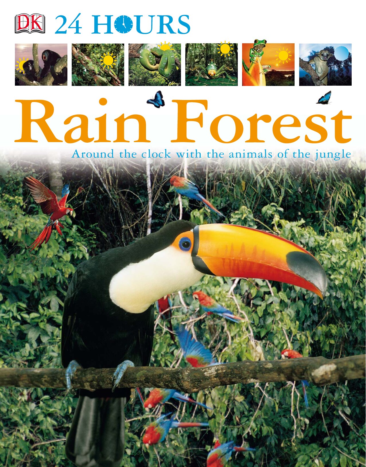 Rain Forest