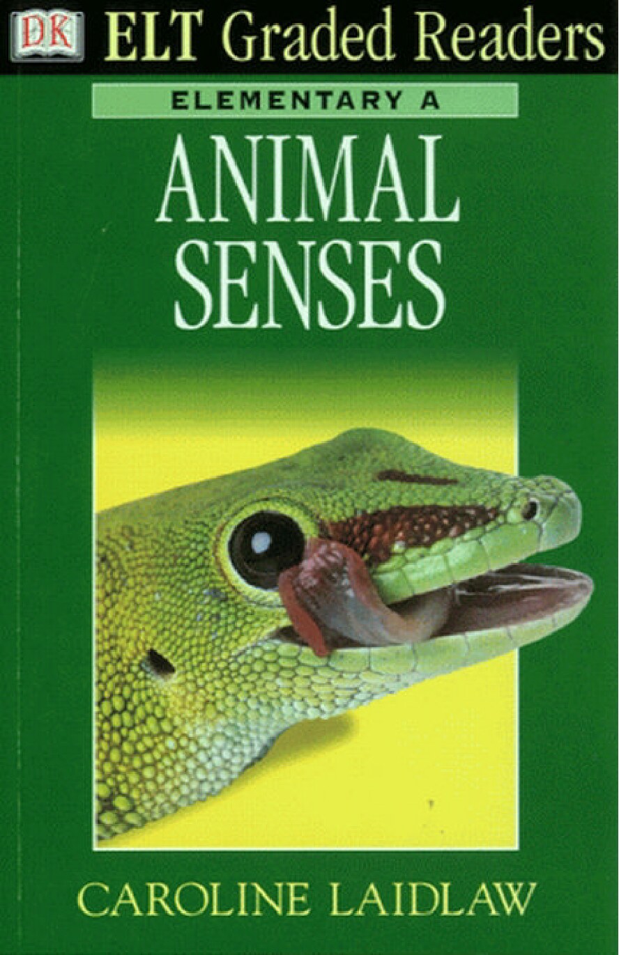 Elementary A: Animal Senses