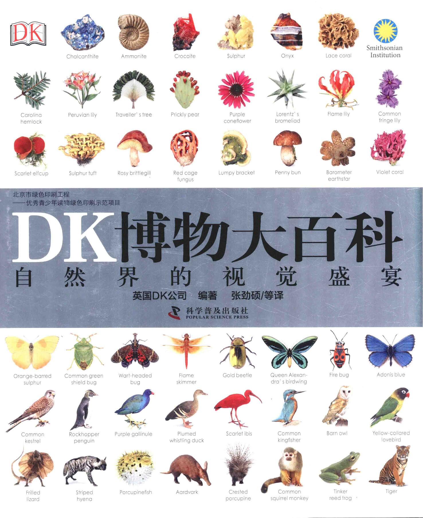 DK博物大百科：自然界的视觉盛宴