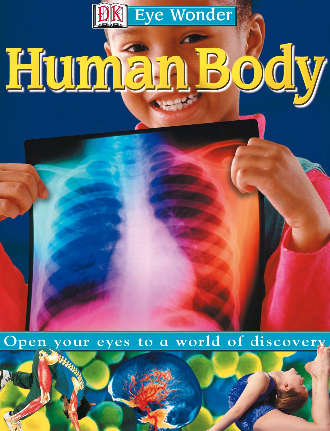 Human Body