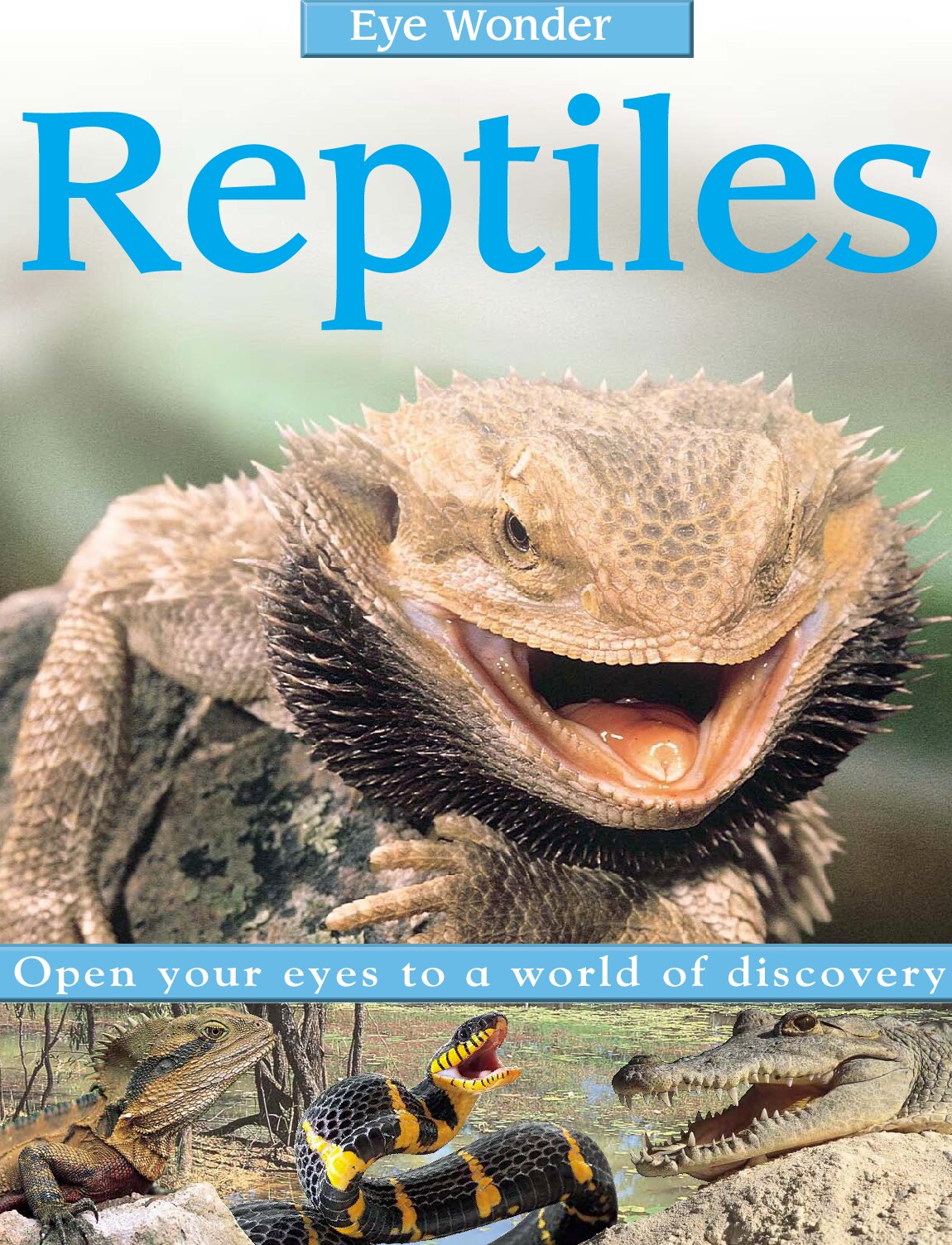Reptiles