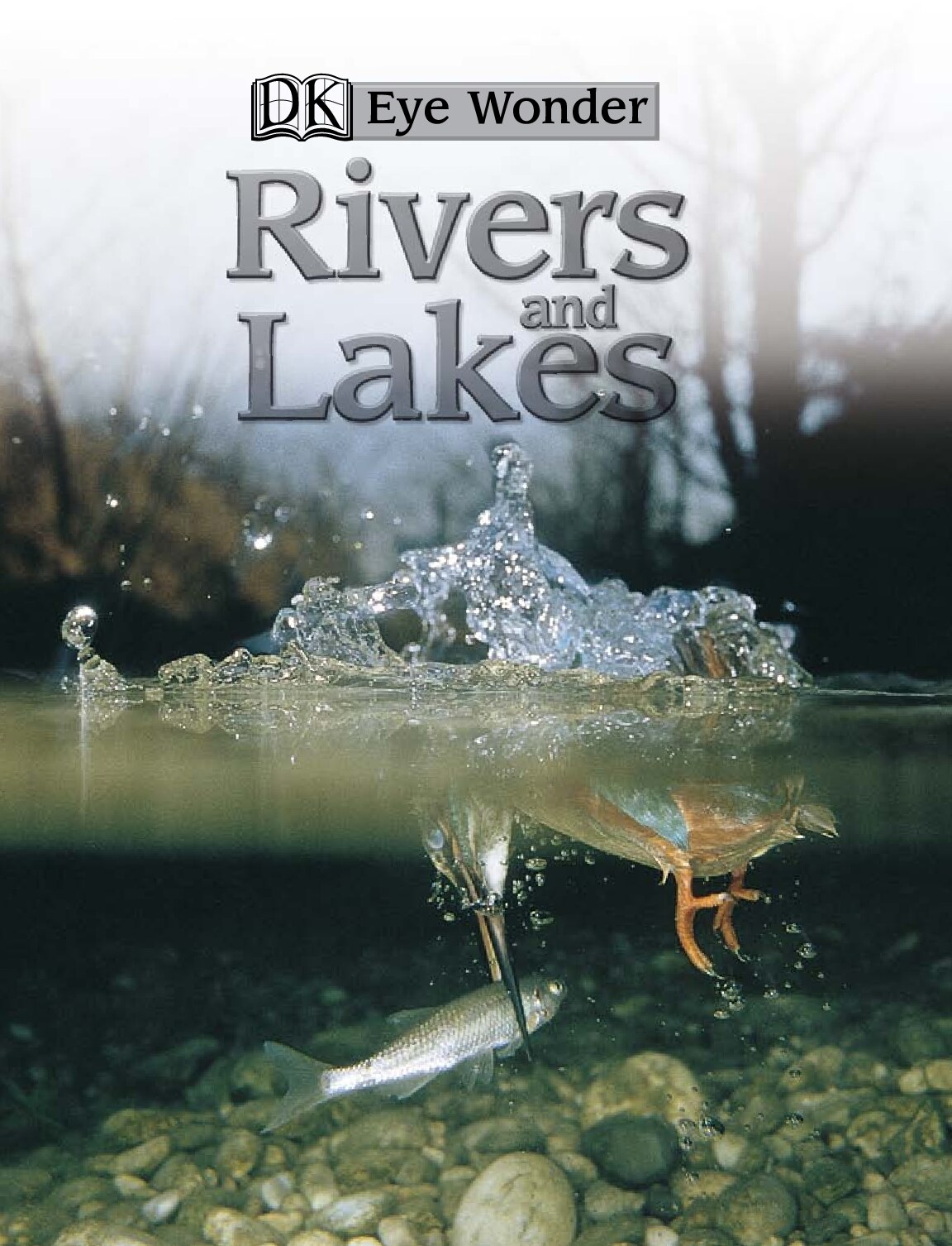 Rivers and Lakes
