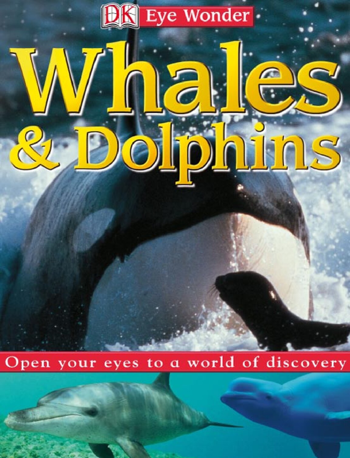 Whales and Dolphins