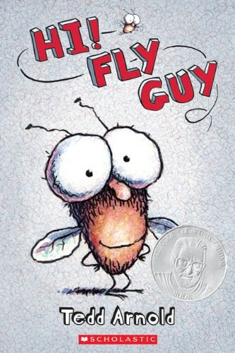 Hi! Fly Guy