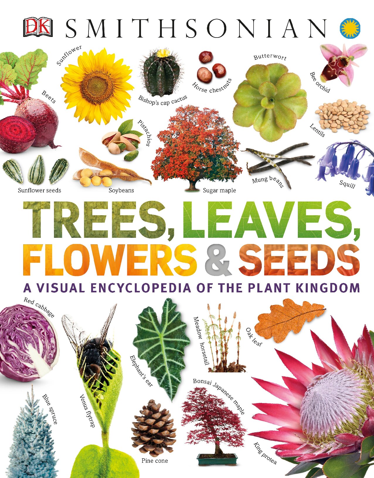 Trees, Leaves, Flowers & Seeds: A visual encyclopedia of the plant kingdom