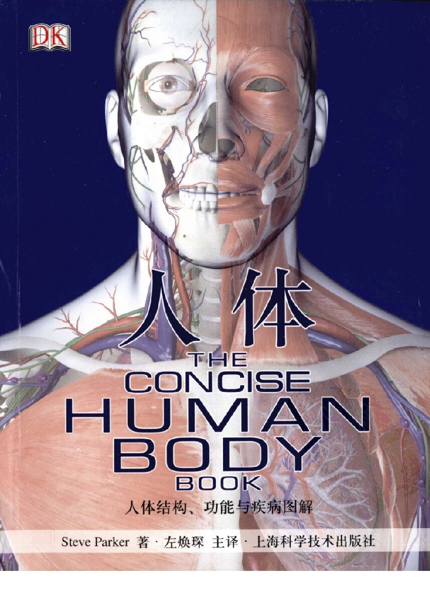 人体