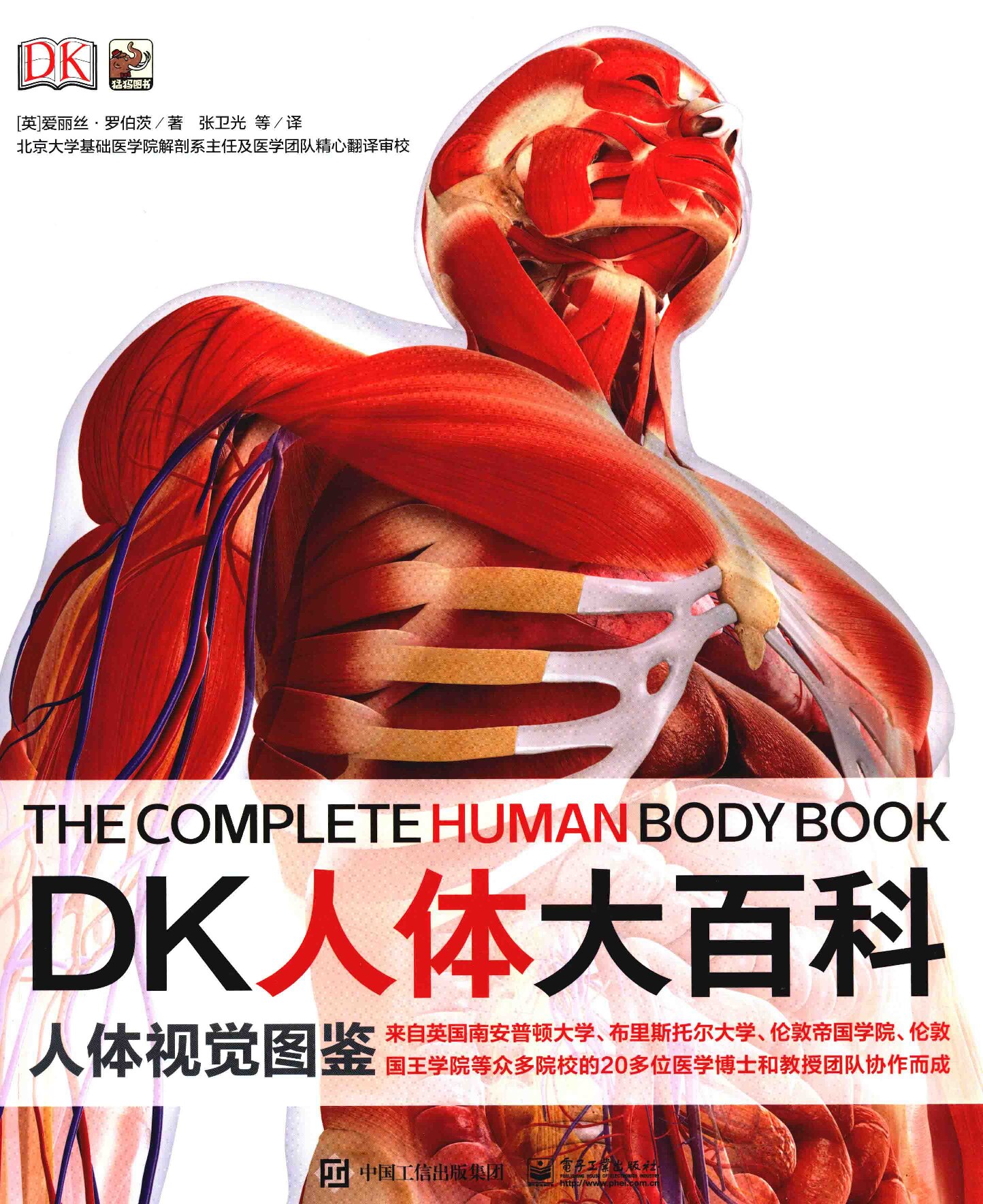 DK人体大百科