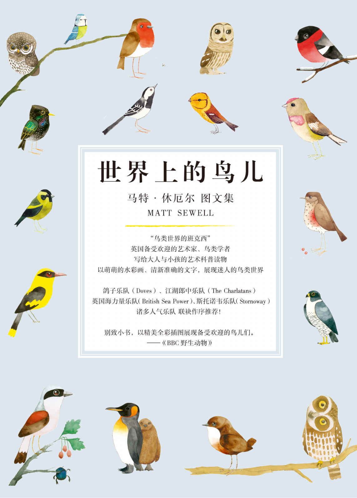 世界上的鸟儿（套装共5册）