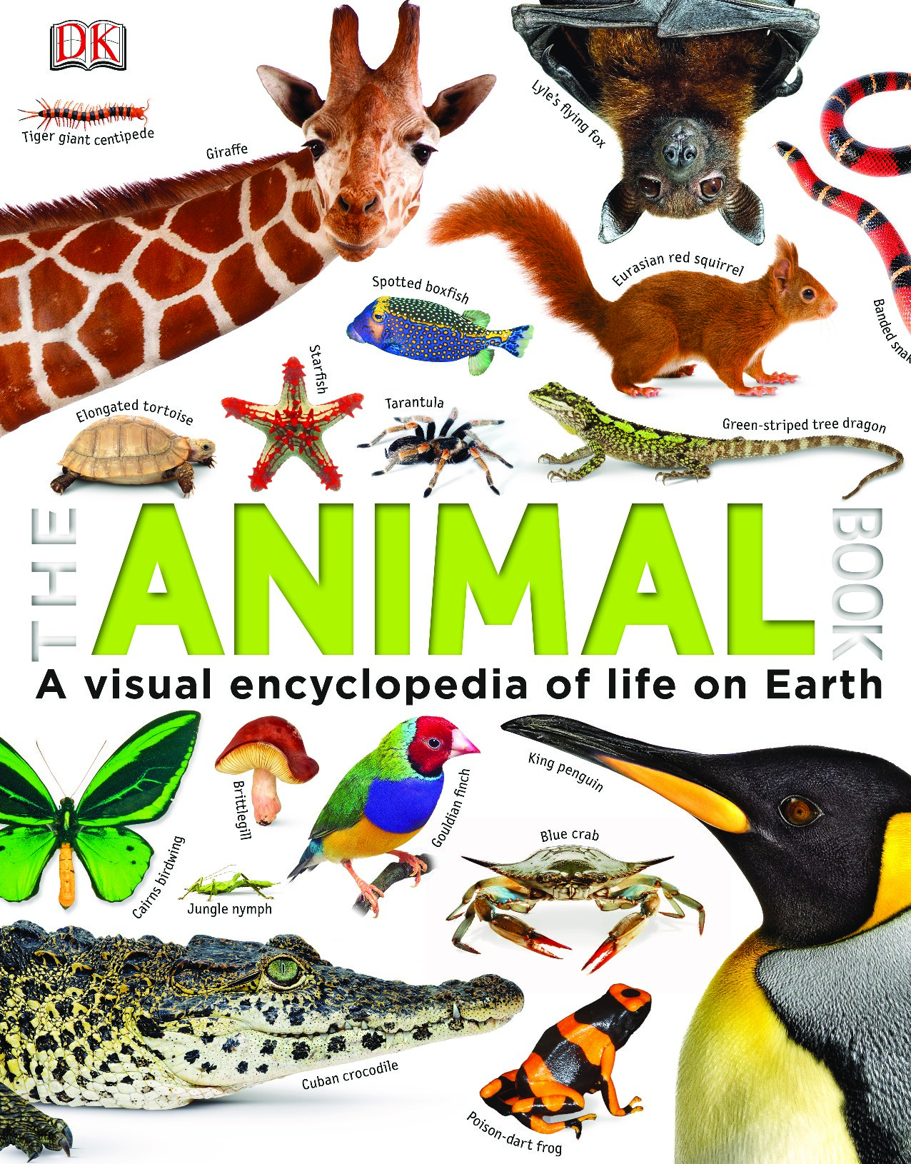 The Animal Book by DK (z-lib.org)