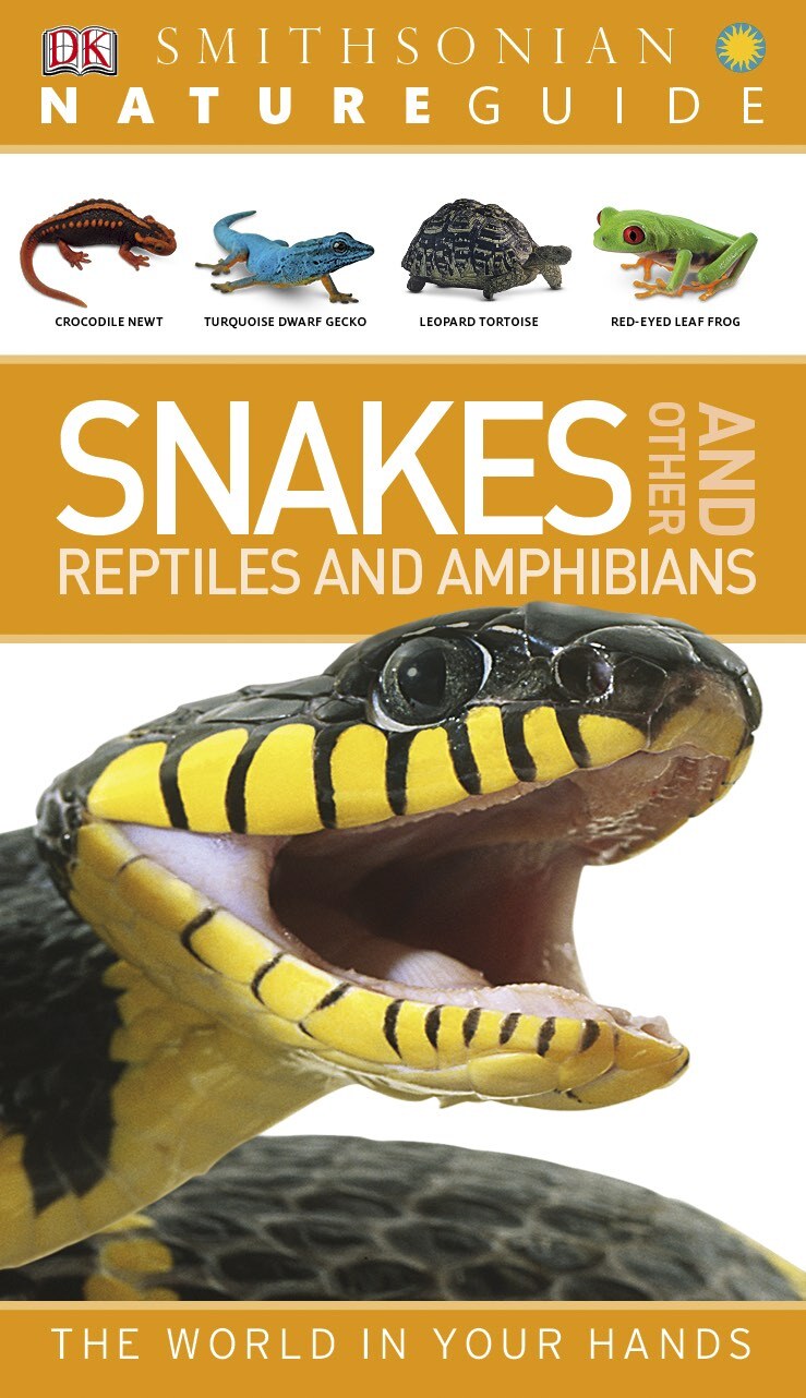 Nature Guide: Snakes and Other Reptiles and Amphibians
