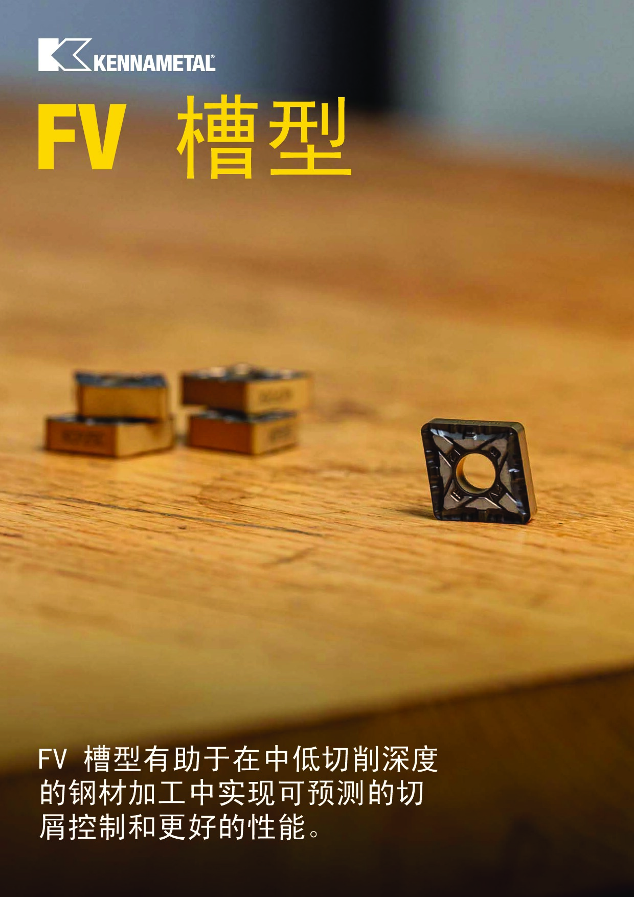FV 槽型 中文